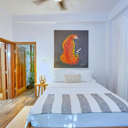 Villa Massis Luxury Villas ซานอิกนาซิโอ ภายนอก รูปภาพ