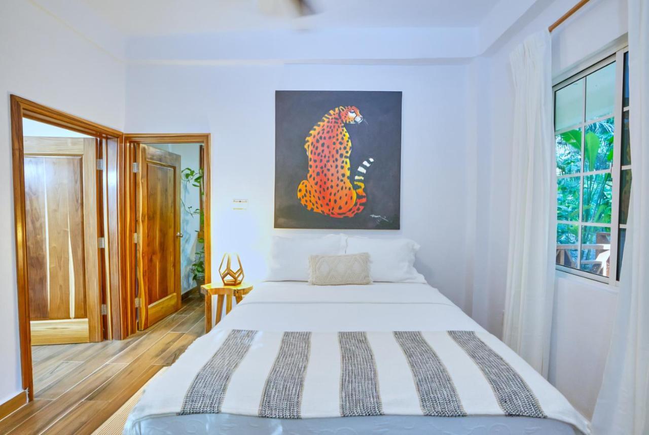 Villa Massis Luxury Villas ซานอิกนาซิโอ ภายนอก รูปภาพ