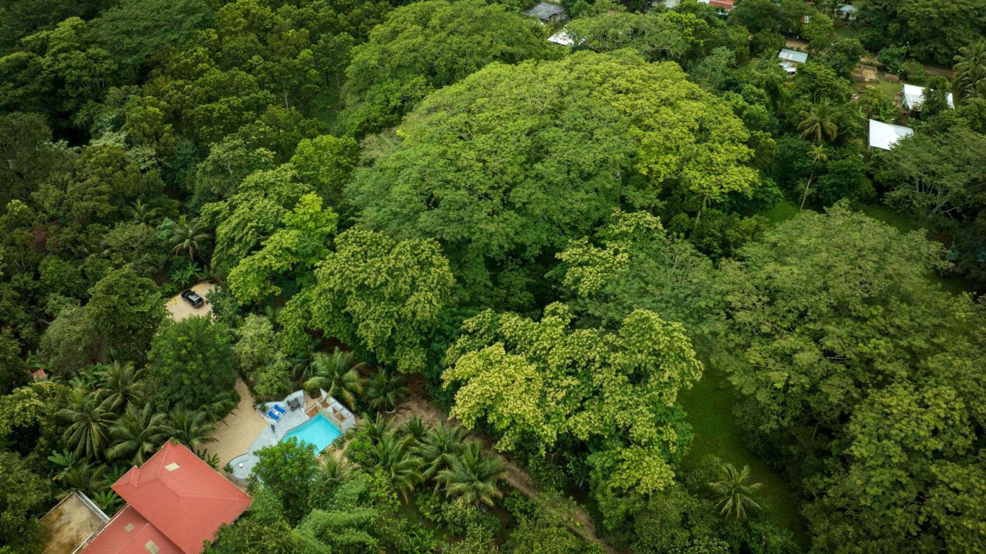 Villa Massis Luxury Villas ซานอิกนาซิโอ ภายนอก รูปภาพ
